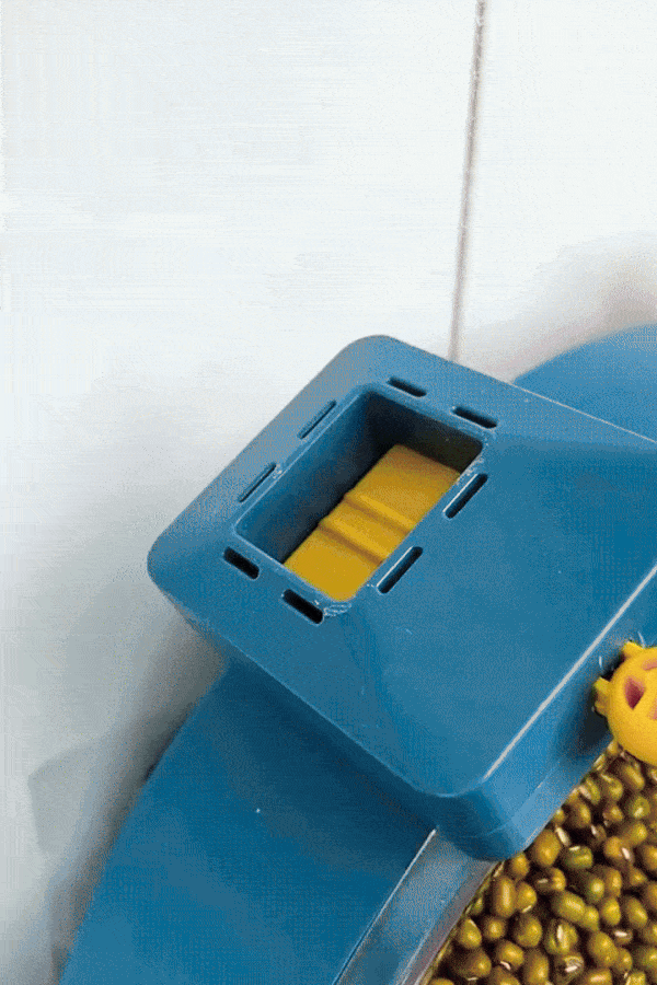 Rotating 6-Grain Dispenser Rack